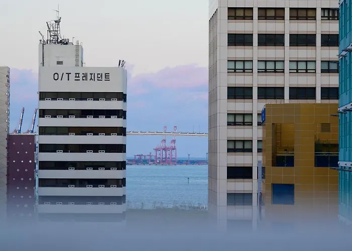 Catnap Busan