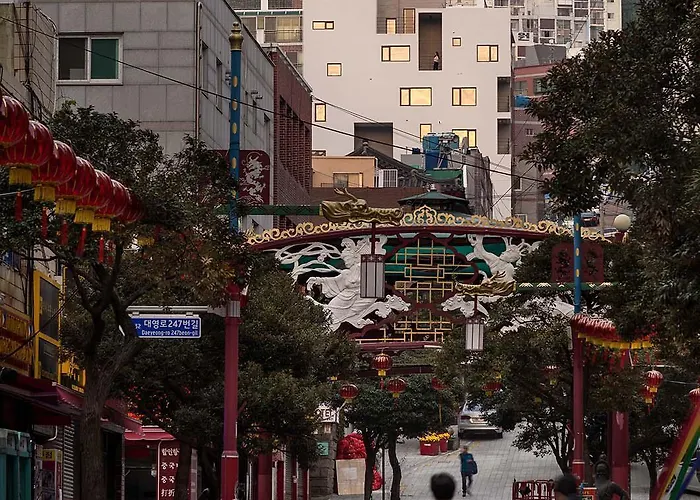 Catnap Busan